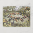 Search for doyle postcards Children's