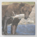 Search for catching coasters Animal