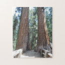 Search for sequoia national park puzzles Trees