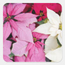 Search for jamie stickers Flora
