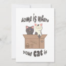 Search for cat quote cards Kitty