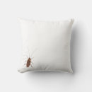 Search for crawling bug Insect