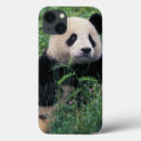 Search for giant ipad cases Bear