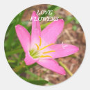 Search for relations stickers Flowers