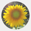 Search for floral fun photography Green