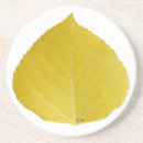 Search for aspen coasters Leaf