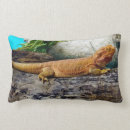 Search for lizard cushions Wildlife
