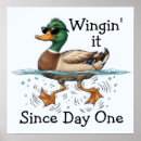 Search for duck posters Bird