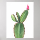 Search for flowering plants posters Cactus