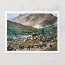 Search for 1899 postcards America