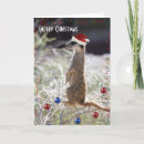 Search for meerkat christmas cards Merry