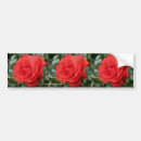 Search for red rose bumper stickers Nature