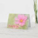 Search for cosmos cards Thinking of you