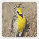 Search for grassland stickers Outdoor
