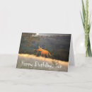 Search for son birthday cards Red