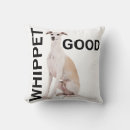Search for whippet cushions Galgo