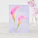 Search for feels photo cards Photography