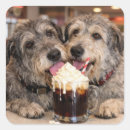 Search for in dog beers stickers Cute