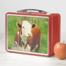 Search for hereford cattle gifts Moo