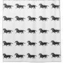 Search for dachshund shower curtains Bathroom
