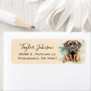 Search for english mastiffs Dog