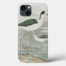 Search for swamp electronics Nature