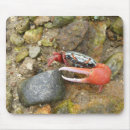 Search for crabs mousepads Red