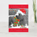 Search for west highland terrier christmas cards Santa