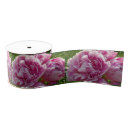 Search for photos ribbon Pink