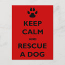 Search for keep postcards Animals