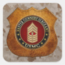 Search for sergeant stickers C7 military insignia 3d