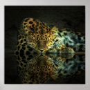 Search for leopard spots art Zoo