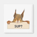 Search for sup magnets What's up
