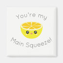Search for squeeze magnets Lemon