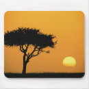 Search for acacia mousepads Silhouette