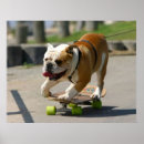 Search for skaters posters Dog
