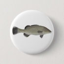 Search for trout badges River