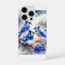 Search for blue jay cases Watercolor