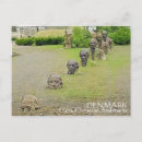 Search for andersen postcards Denmark