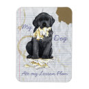 Search for black lab magnets Labrador retriever