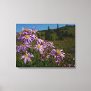 Search for aster canvas prints Landscape