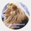 Search for species stickers Big cats