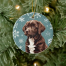 Search for chocolate christmas tree decorations Brown lab