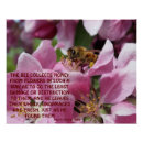 Search for crabapple posters Nature