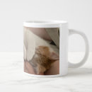 Search for orange kitten mugs Ginger