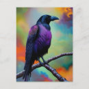 Search for coloured background postcards Bird