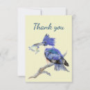 Search for kingfish cards Wildlife