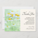 Search for chamomile cards Summer