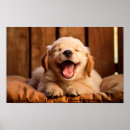 Search for generative posters Cute