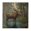 Search for moose tiles Nature